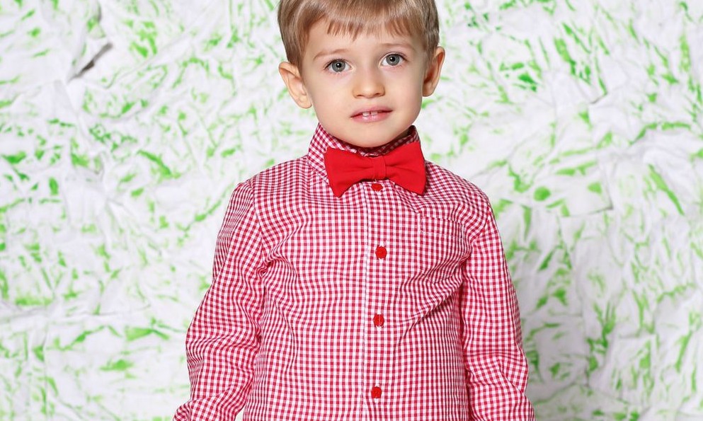 297f87d767844ca830a26d4088kd-raboty-dlya-detej-krasnaya-kletchataya-rubashka