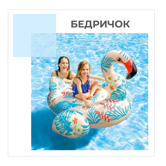 81537-[bedr]