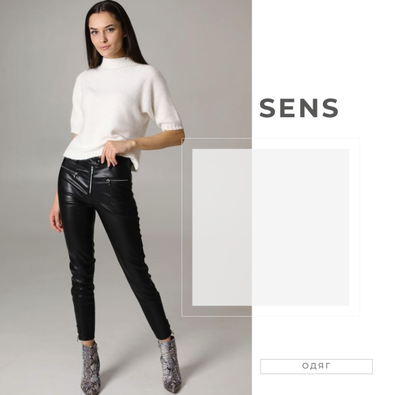 ss1